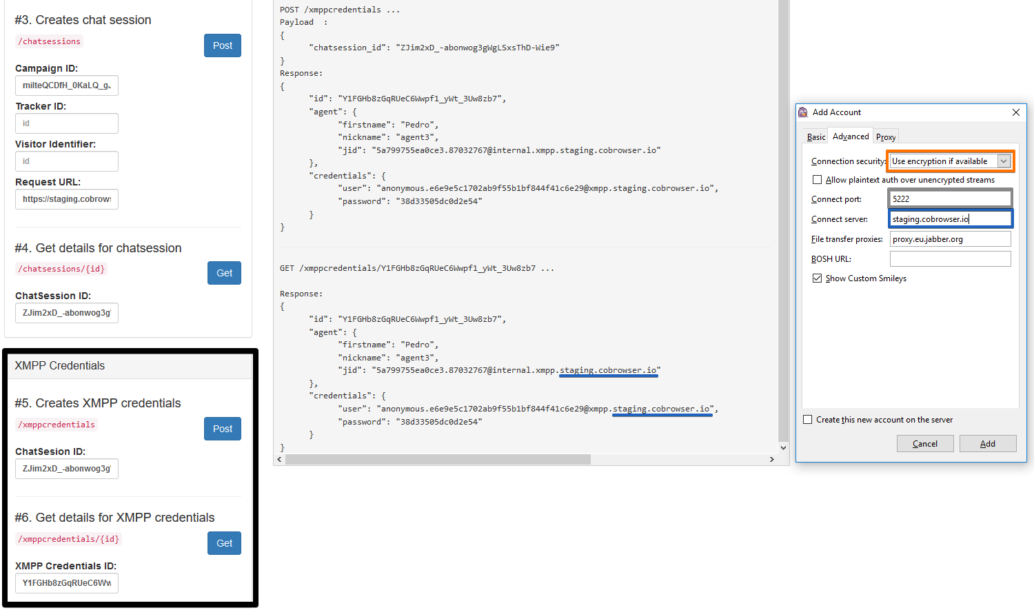 CoBrowser_Public_API_-_Mozilla_Firefox_2018-04-27_15.53.36.png